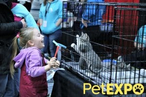 Rescues at the Edmonton Pet Expo