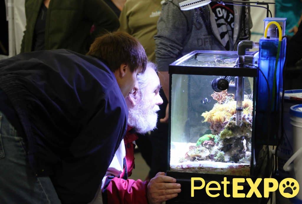 Aquariums Edmonton Pet Expo