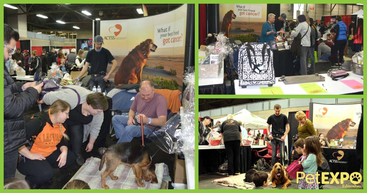Animal Cancer Therapy Subsidization Society ACTSS at the Edmonton Pet Expo