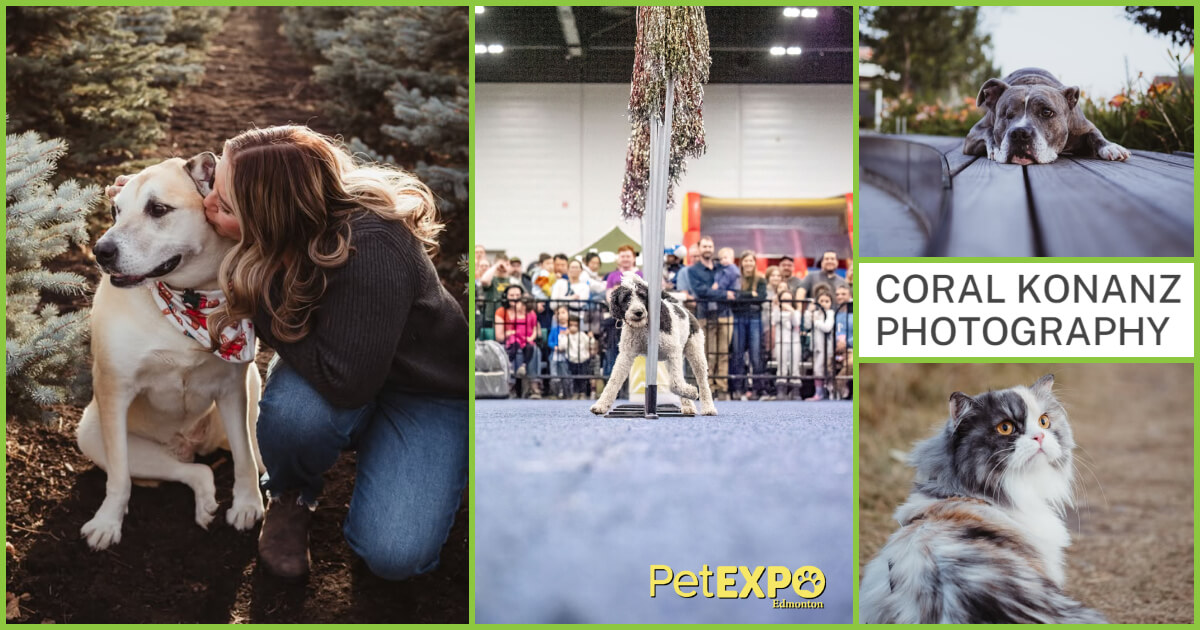 Coral Konanz Photography