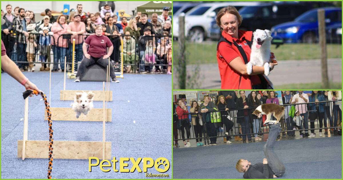 Kristen McKenna, Trainer, at Edmonton Pet Expo