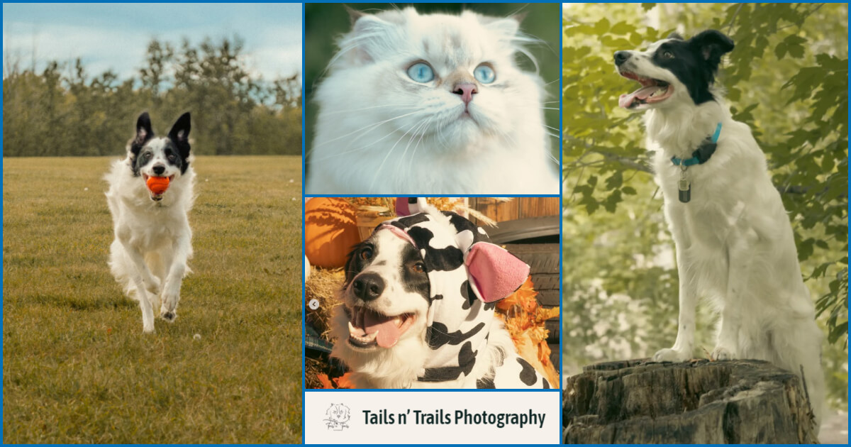 Tails n' Trails Photography at the Edmonton Pet Expo